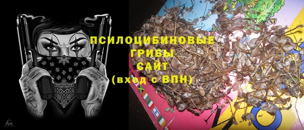 apvp Балахна